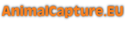 ANIMALCAPTURE.EU