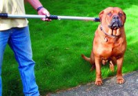 heavy-duty-dog-pole