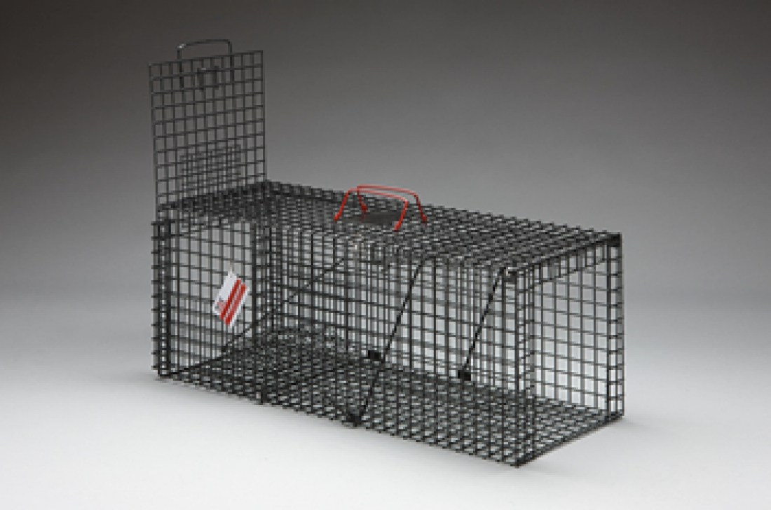 EeziCatch Cat Trap Solid Floor